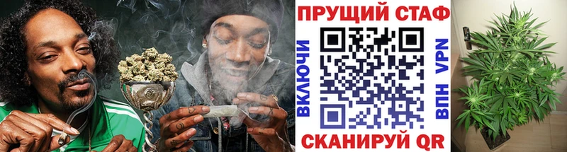 Где купить наркотики Рудня MEGA ССЫЛКА  Мефедрон  ГАШ  Галлюциногенные грибы  COCAIN  A PVP 