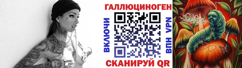 что такое   Рудня  Галлюциногенные грибы мицелий 